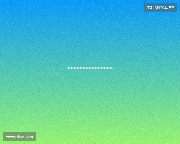 国足沈阳比赛事件、国足沈阳比赛事件全过程综述与社会舆论反响探讨